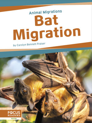 cover image of Bat Migration